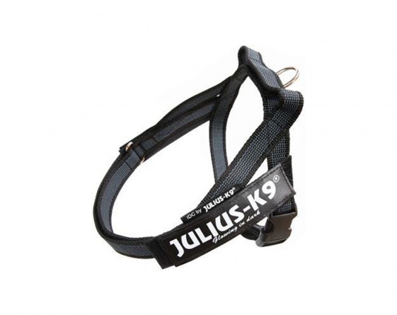 JULIUS-K9 шлейка для собак Ремни Color & Gray IDC® Mini-Mini (40-49см / 4-7кг), черный фото 1