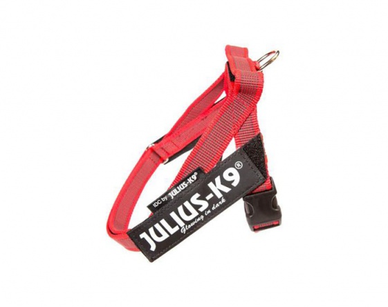 JULIUS-K9 шлейка для собак Ремни Color & Gray IDC® 2 (67-97см / 28-40кг), красный фото 1